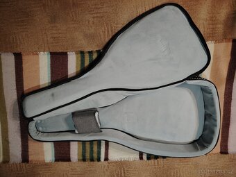 12strunná kytara - 8