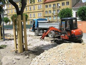 DŘEVINY - OCHRANA A PÉČE - elektronická příručka - 8
