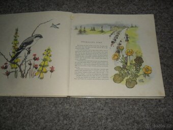 Herbář Krakonošův, Příroda v ČSSR, Ráj zvířat, Naše houby - 8