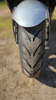 Silver fox 50 s Tp - 8