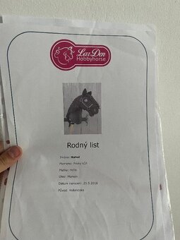 Hobby horse "Maximus" cerny zn. LarDen - 8