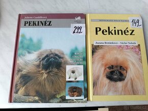 Afghánský chrt pudl westik bišon frise retrivr - 8