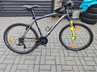 Author Outset 19 - 8