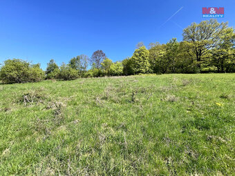 Prodej louky, 21830 m², Malšovice - Hliněná - 8