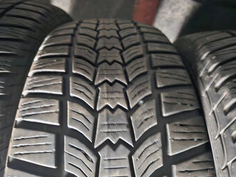 205/60R16 92H Eskimo HP 2 SAVA - 8