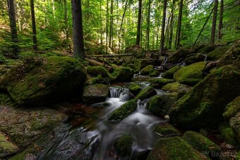 NISI 15mm f/4 pro Nikon Z - 8