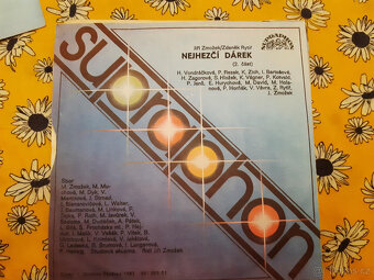 SP deska ružné druhy výběr dle foto 2 - 8