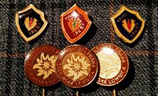 Odznaky - FFP 1983 - 1984 (ČSSR) - 8