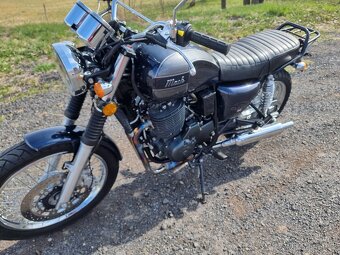 Mash 650 - 8