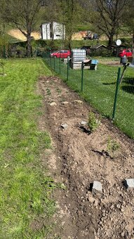 Prodej zahrádky Bělá pod Bezdězem, pozemek 616 m² - 8