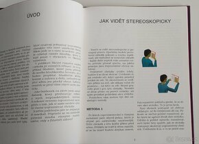 Kniha Skryté rozměry - Dan Dyckman - 8