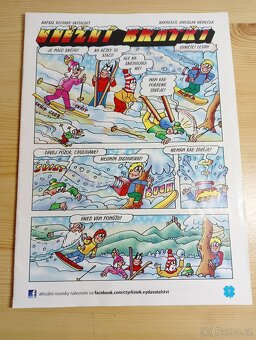 Čtyřlístek - roky 2015 - 2022 - 8