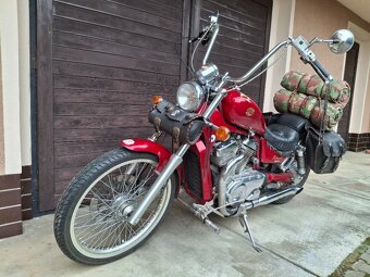 Suzuki VS 800 Intruder - 8