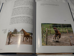 Odborná literatura o koních, jezdectví - Trénink koně - 8