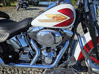 Harley Davidson Heritage Springer flsts - 8