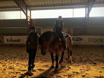 Částečný pronájem - 8