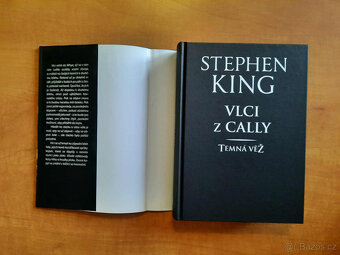 Stephen King - Vlci z Cally a Temná věž - 8