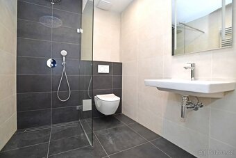 Pronájem rodinného domu 190 m², pozemek 285 m² Hillebrantova - 8
