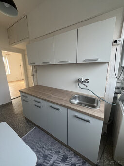 Pronájem bytu se zahradou 3+1, Matochova, Hejčín, 17 000 Kč/ - 8