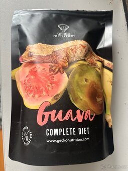 Pagekoni terarium + 3 gekoni - 8