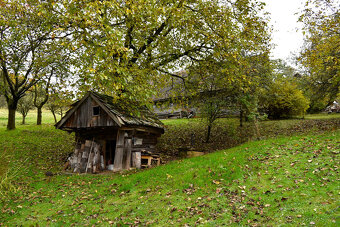 Janov - zemědělská usedlost se stodolou a pozemky 11 612 m2 - 8
