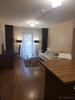 Pronájem bytu 2+kk, U Borského parku 2887/27, 52 m2 - 8