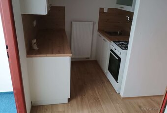 Pronájem 3+1 Dr. Stejskala, České Budějovice - 8
