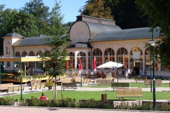 APARTMÁN V KRKONOŠÍCH /4os. - 8