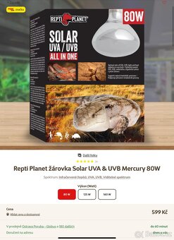 Terarium a svetla - 8