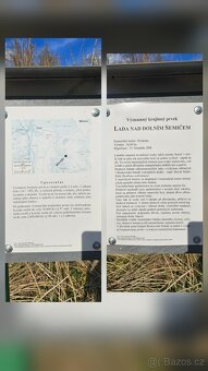 Pozemek u rybníka - 8