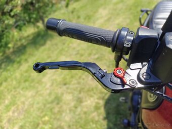 Benelli Leoncino 500 trail - 35kw - 8