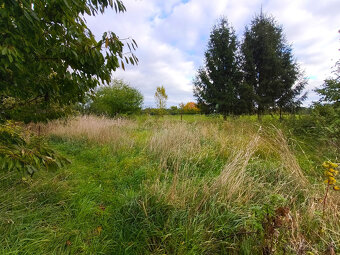 Chvalkovice - Střeziměřice -rodinný dům 3+1, pozemek 2066 m2 - 8