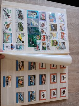 Staré pohlednice+album s poštovníma známkama - 8