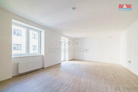 Prodej bytu 4+kk, 118 m², Cheb, ul. Břehnická - 8