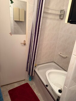 Pronájem bytu 1+1 34 m² Novodvorská, Třebíč - 8