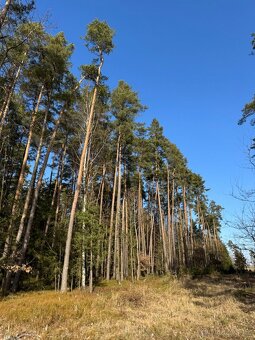 Prodám pozemky v katastrálním území Nemějice - 8