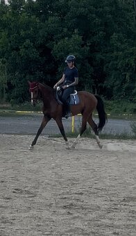 4 letý vlach po Le patron obsednut - 8