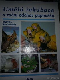 Holubi osli ryby koně ptáci včely - 8