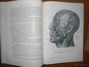 Staré knihy Anatomie člověka - 8