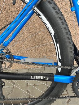 Kolo PELLS RAZZER 29” - 8