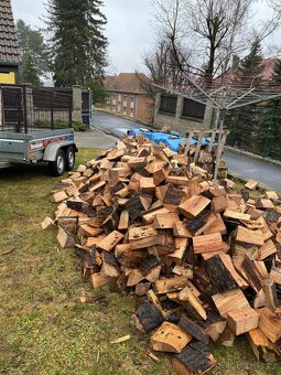 Palivové dřevo - 8