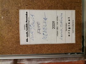 Ak. Soch. Luděk Pavézka - 8