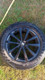 Mg zs - 8