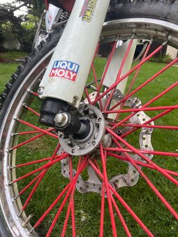 Diabolini MMR 250-2021 - 8