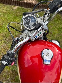 Yamaha Virago xv 250 rok 1998 - 8