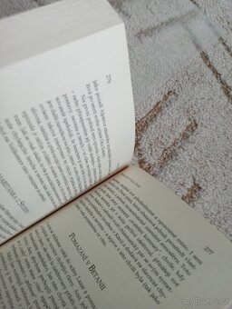 Cynthia Bourgeault: Tajemství Marie Magdalény - 8