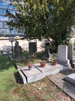 Přenechám hrobové místo - 8