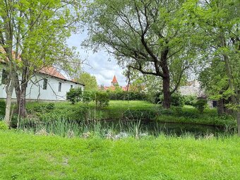 Pronájem jezdeckého areálu – 26 756 m², Měčeříž u Prahy - 8