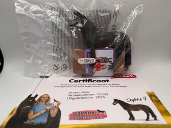 Schleich Exclusive - 8