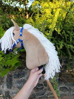 Larden xs hobby horse - 8